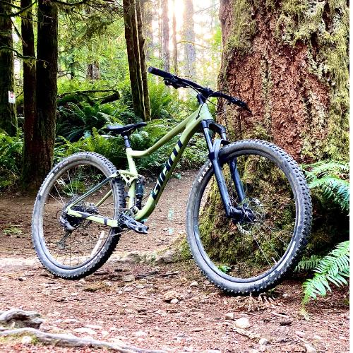 Mountain bikes