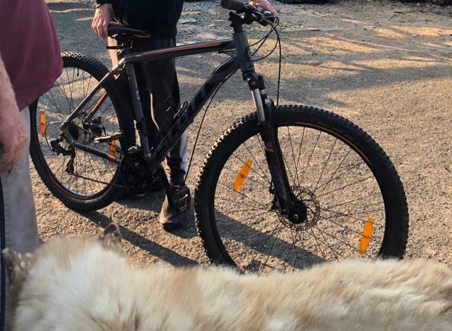 Scott scale 970 modelo 2019 shops