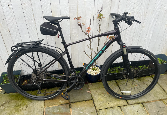 Giant Roam Disc 0 2022 Bike