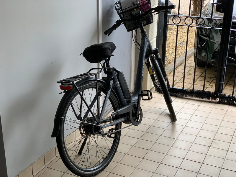 Raleigh Motus Grand Tour Lowstep 2021