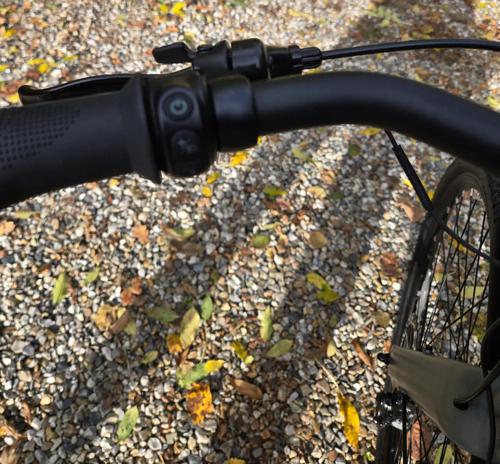 BIRD BIKE A-FRAME 2023