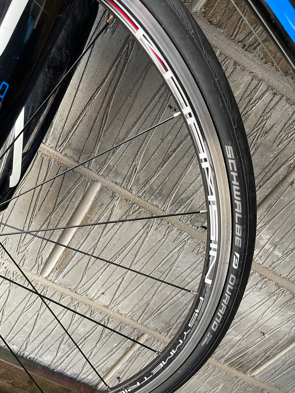 Storck  Scenero 2011