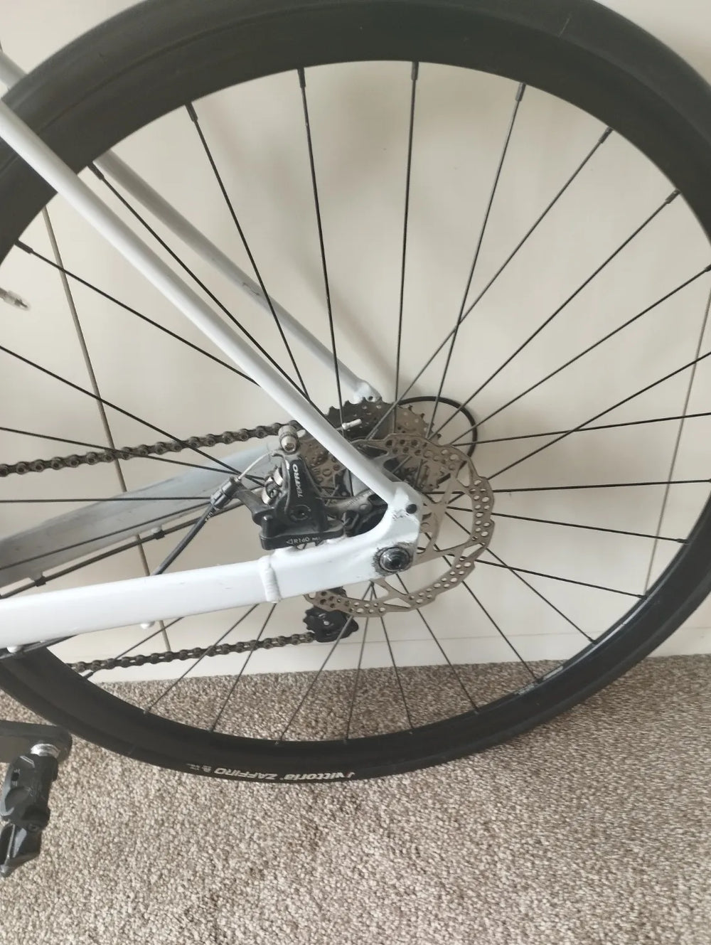 Orbea AVANT H60-D 2022