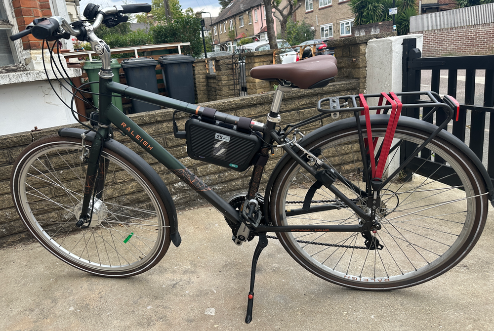 Raleigh Pioneer 2021