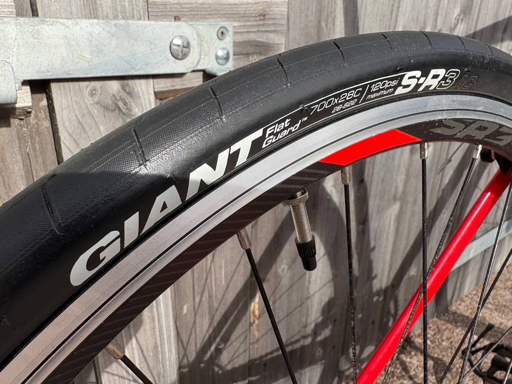 Giant Contend 2 2021