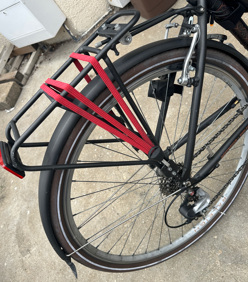 Raleigh Pioneer 2021