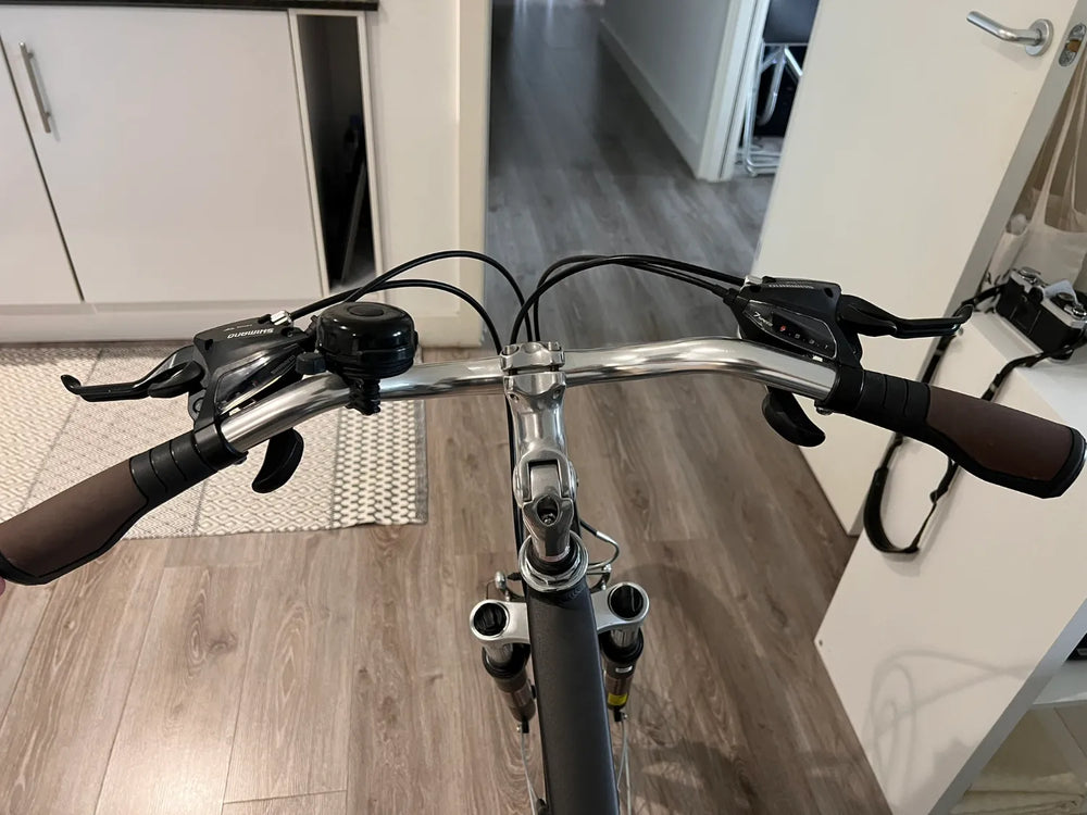 Raleigh Pioneer Grand Tour 2020