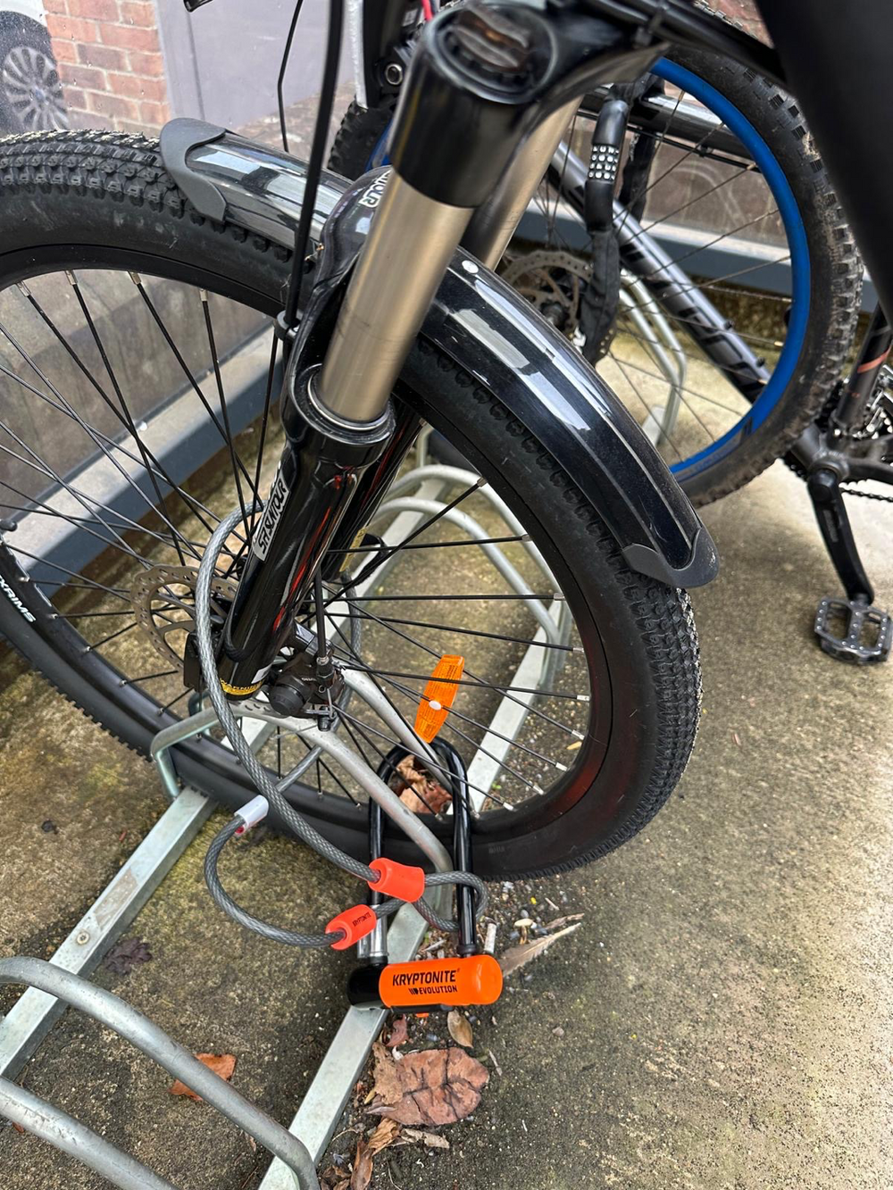 RooDog  Avatar crossbar  2023