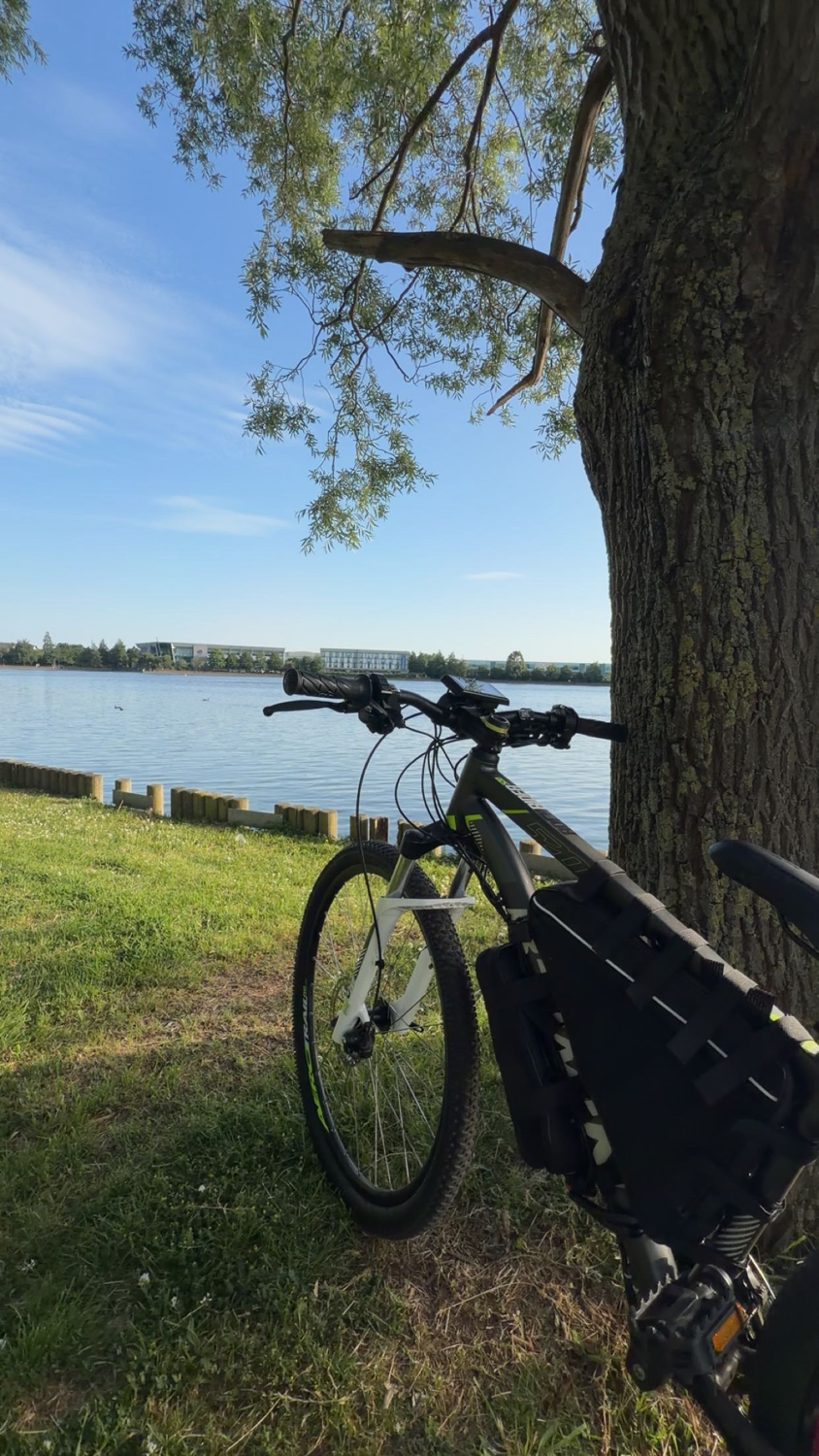 Rockrider Electric bike 2022
