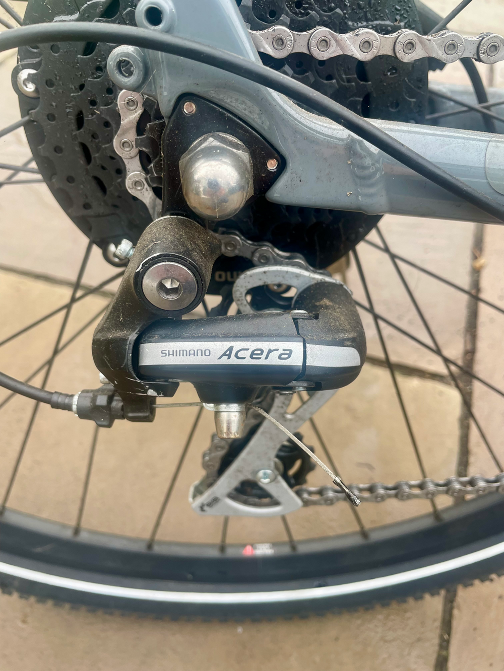 Ridgeback Arcus 1 2024
