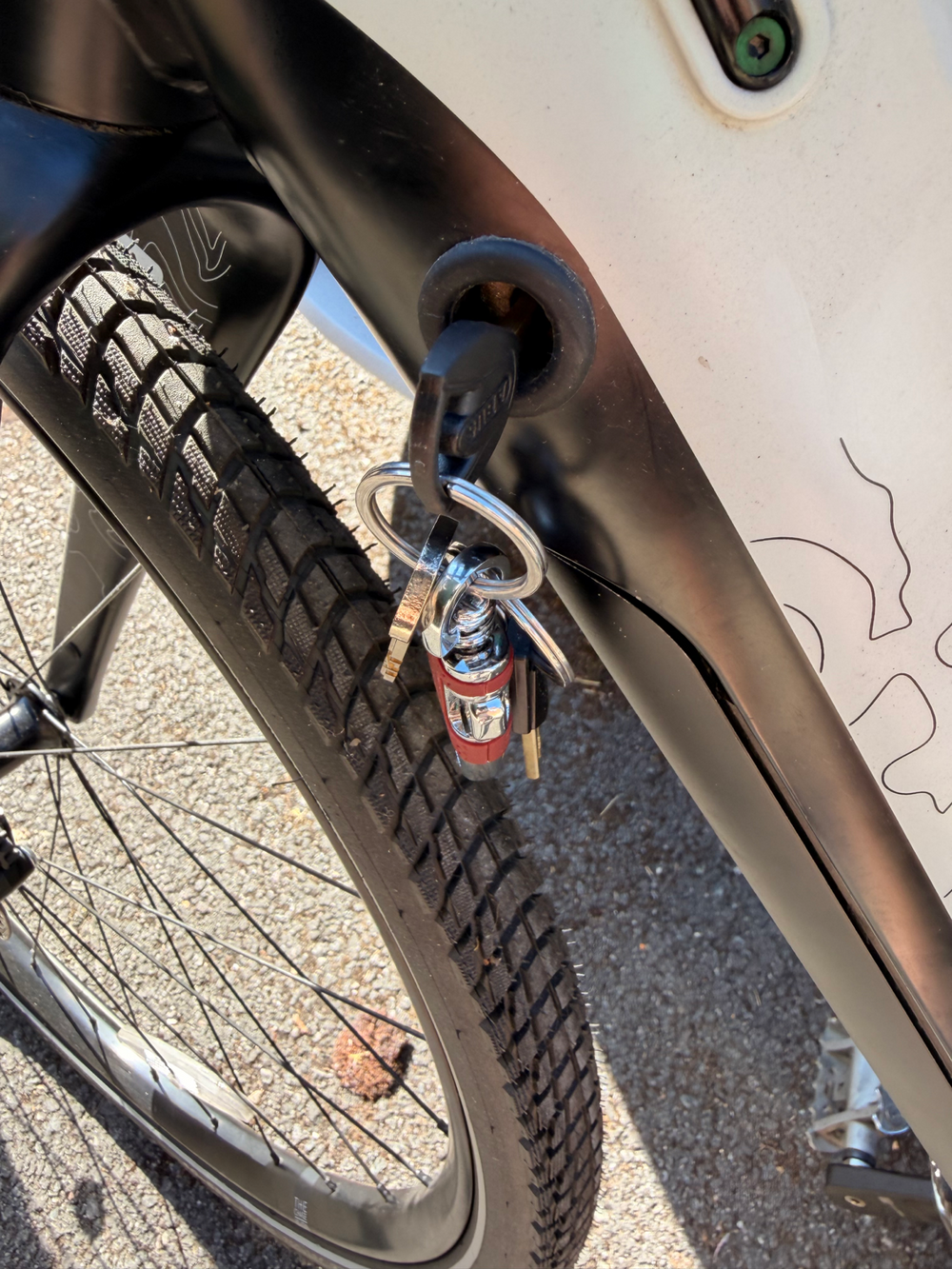Cairn E-Adventure 1.0 2021