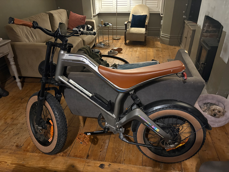 DYU M20 2025