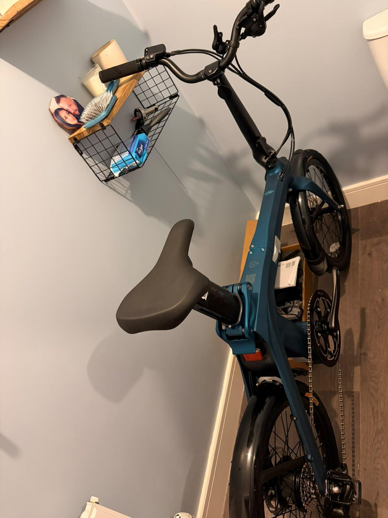 Fiido C11 electric bike,