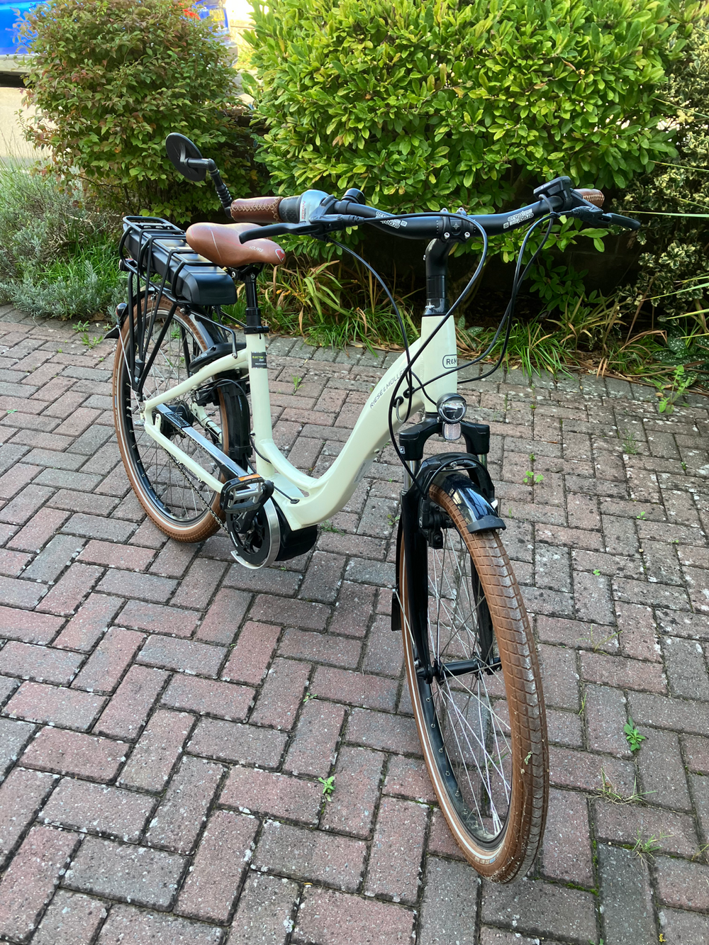 Riese & Muller Active Line Plus 2019