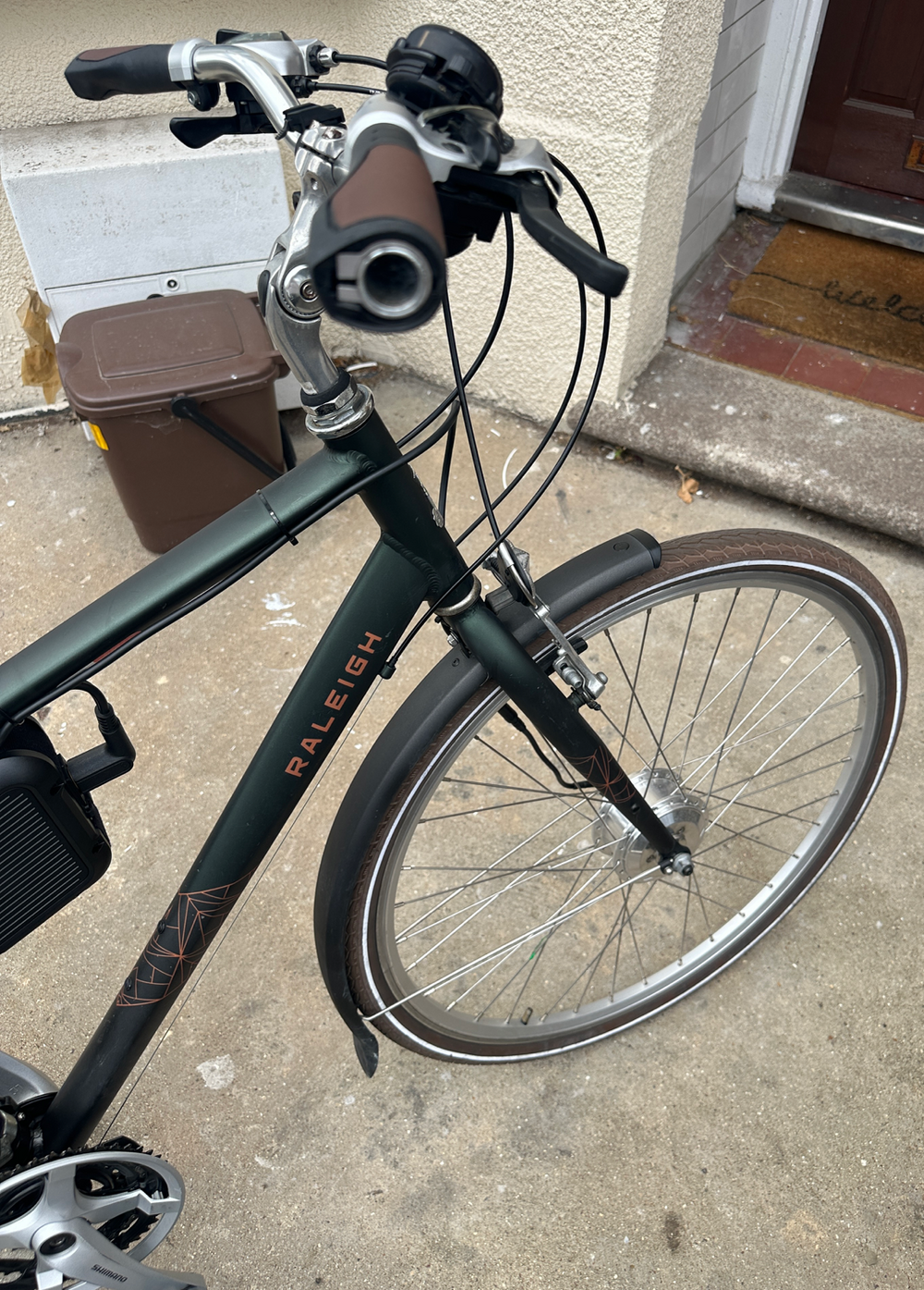 Raleigh Pioneer 2021