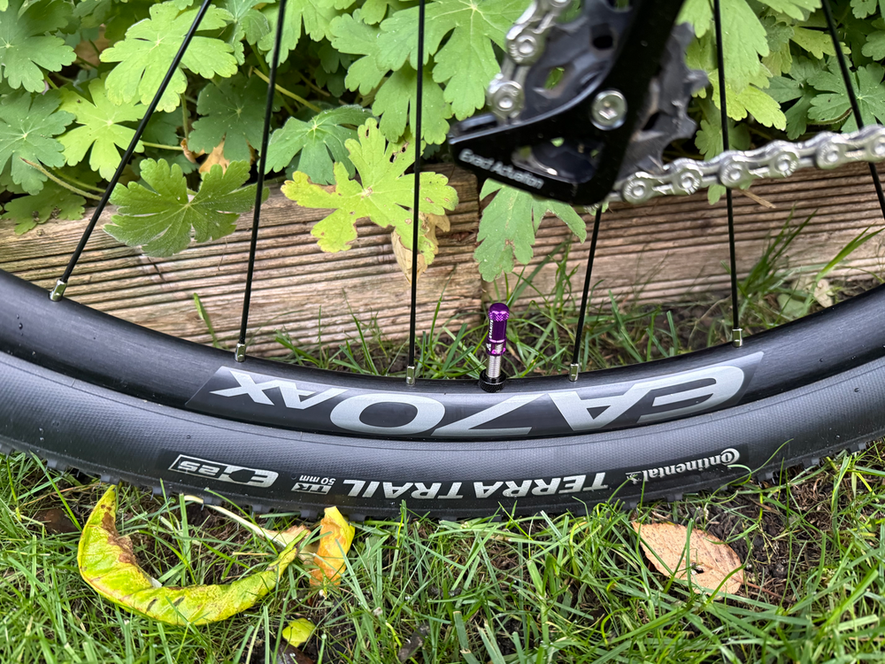 Giant Revolt X 1 2023