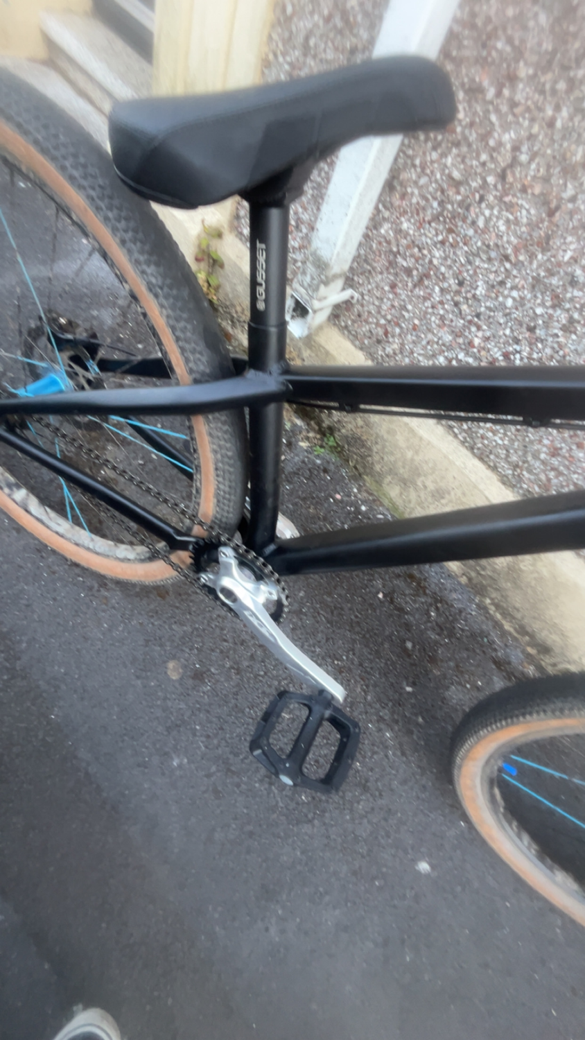 Alaudark  Lark v1 2024