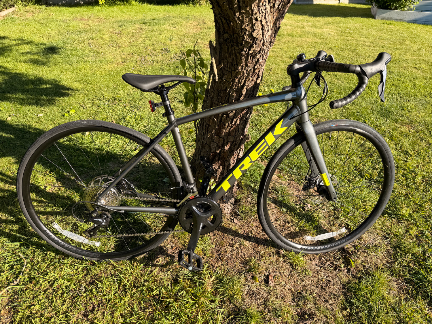 Trek Domane AL 3 Disc 2022