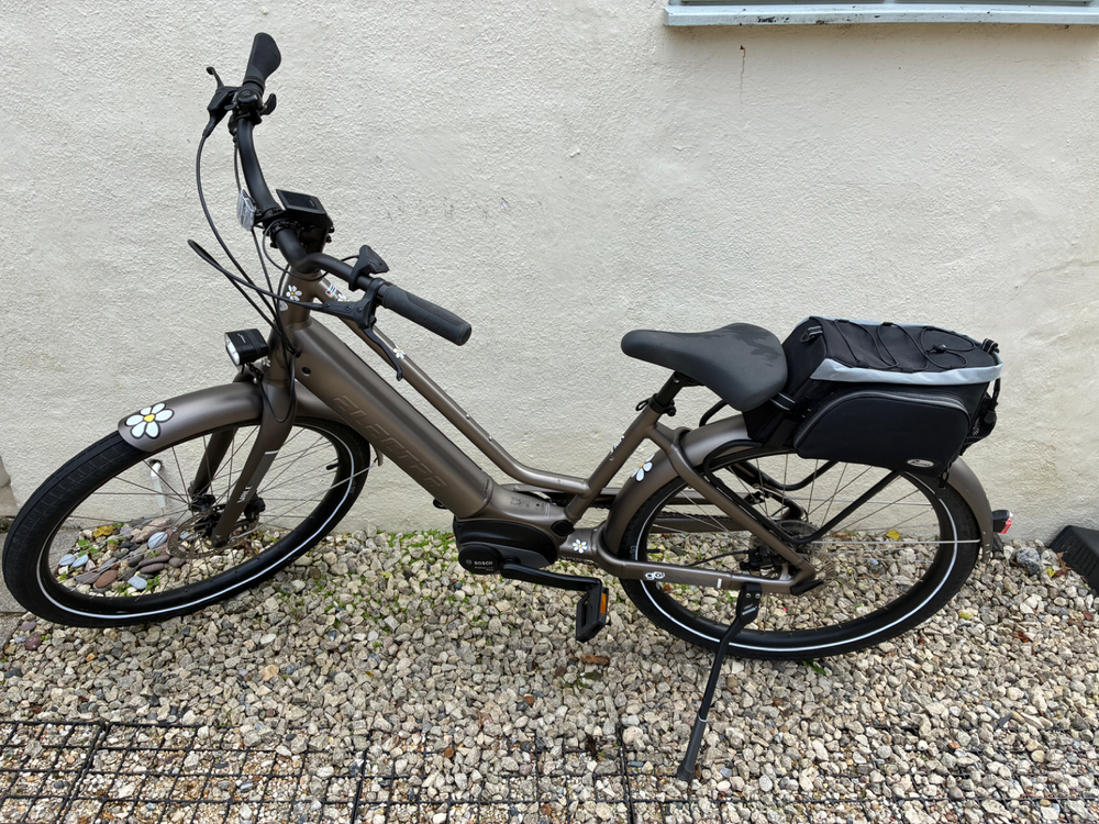 Electra Vale Go! 9D EQ 2021