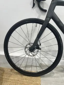 Trek Domane AL 2 Gen 4 2024