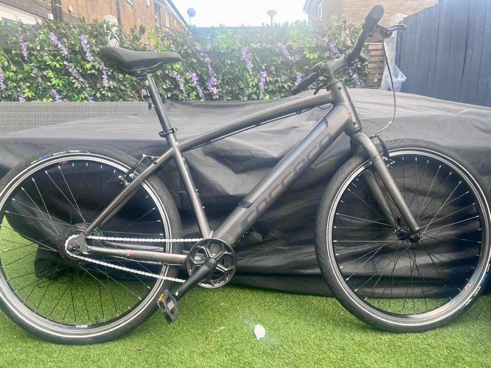 Carrera impel im 2022