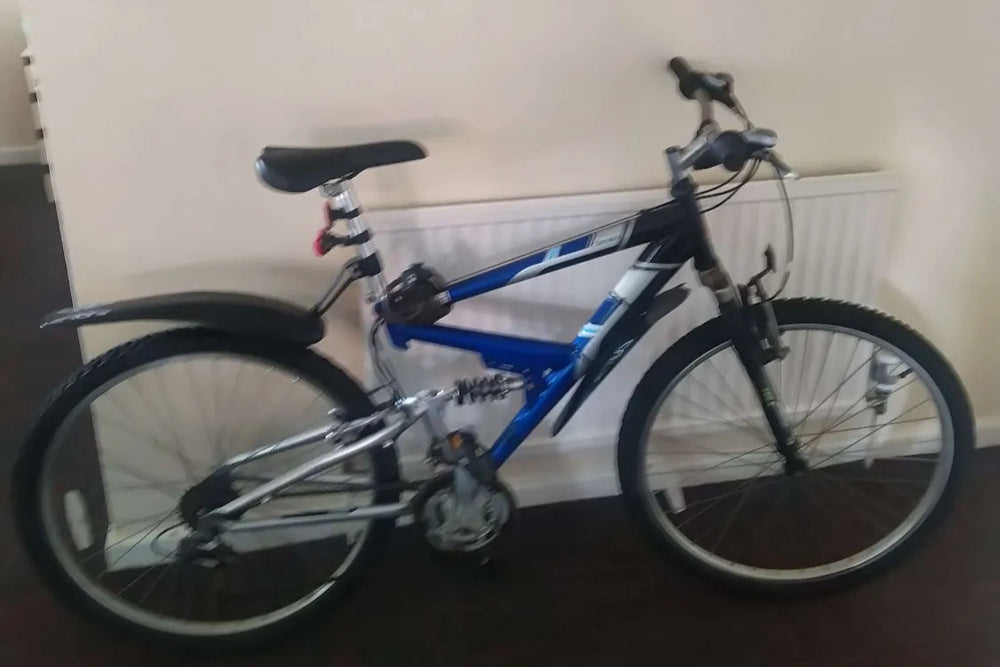 Raleigh Dorado 1999