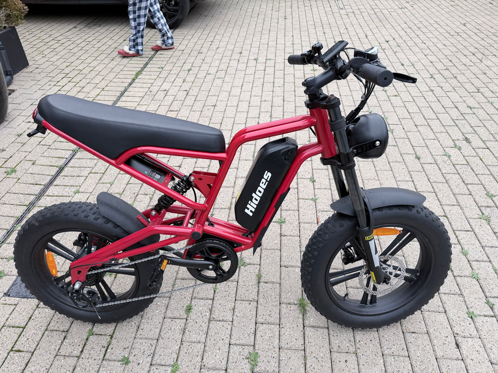 Hidoes Hidoes B6 MTB 20 inches Electric Mountain Bike 48V 15.6Ah W1200 Fat Tyre E-Bike 2025