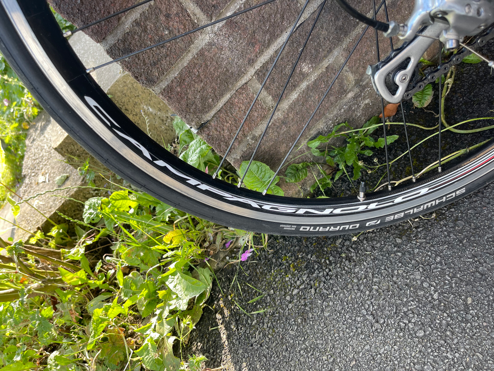 Storck  Scenero 2011