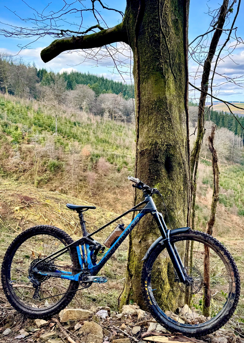 Mondraker Foxy Carbon RR 29er Enduro 2022