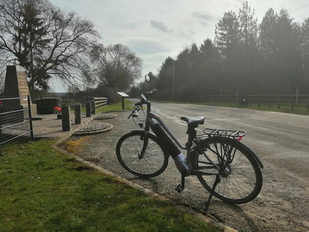 BH Atom Brose Diamond Wave Pro-Medium, 2020