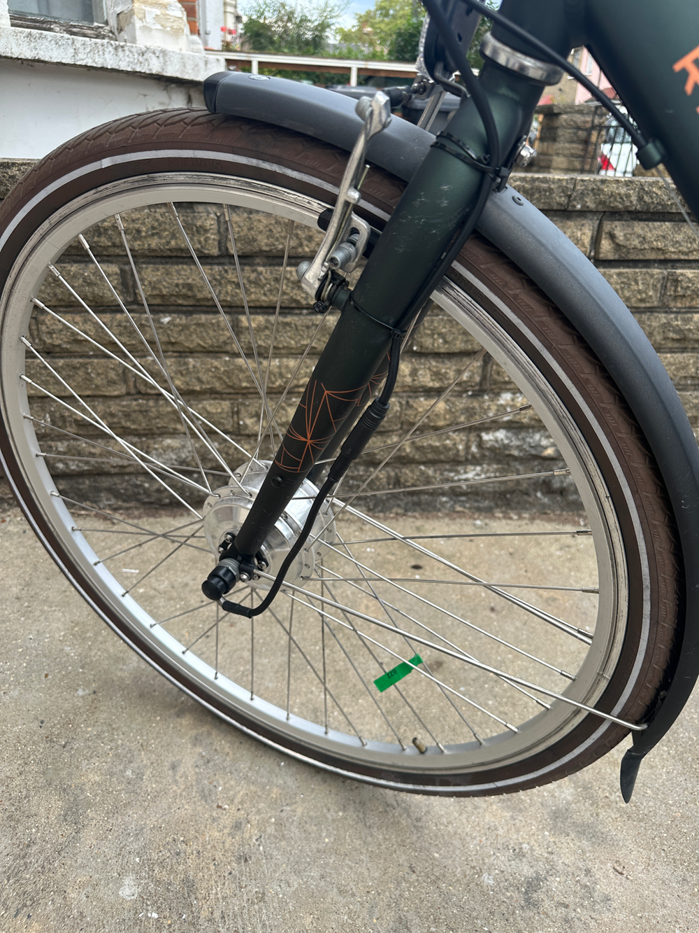 Raleigh Pioneer 2021