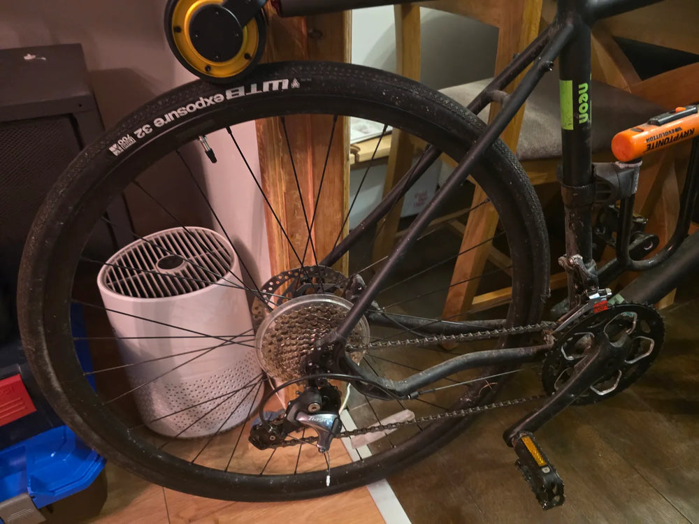 Pinnacle Neon 4 2020