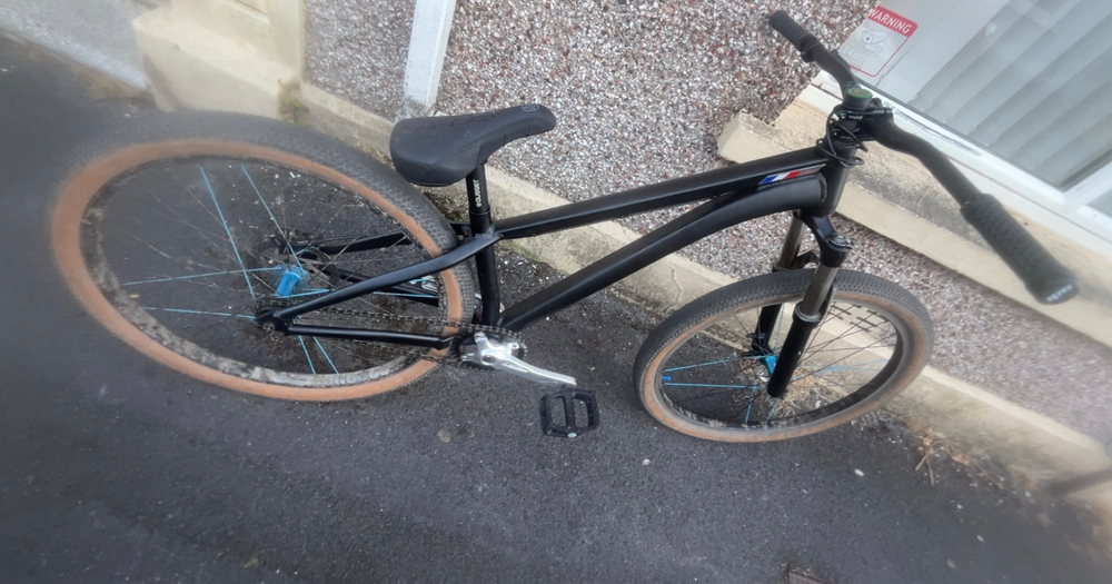 Alaudark  Lark v1 2024