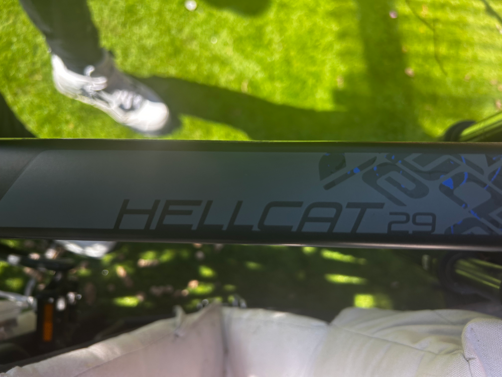 Carrera Hellcat Mens Mountain Bike 2020