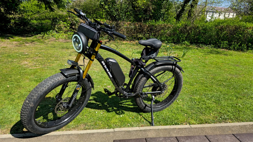 Big Game Bikes Buffalo Alpha Plus 750W 2024