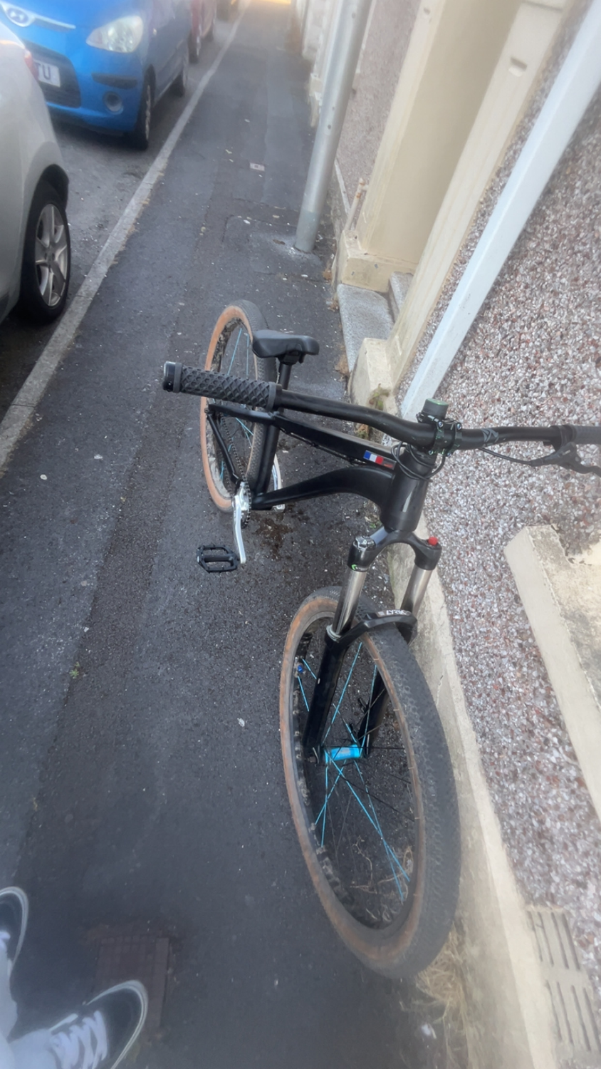 Alaudark  Lark v1 2024