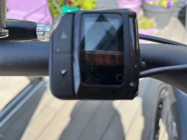 Carrera impel im 2022