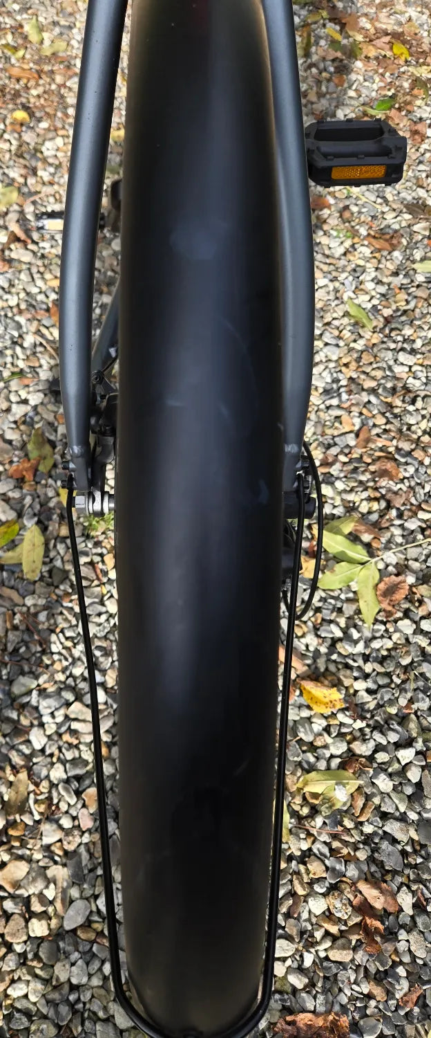 BIRD BIKE A-FRAME 2023