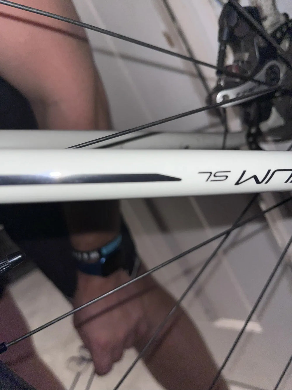 Vitus Zenium SL Disc 2016