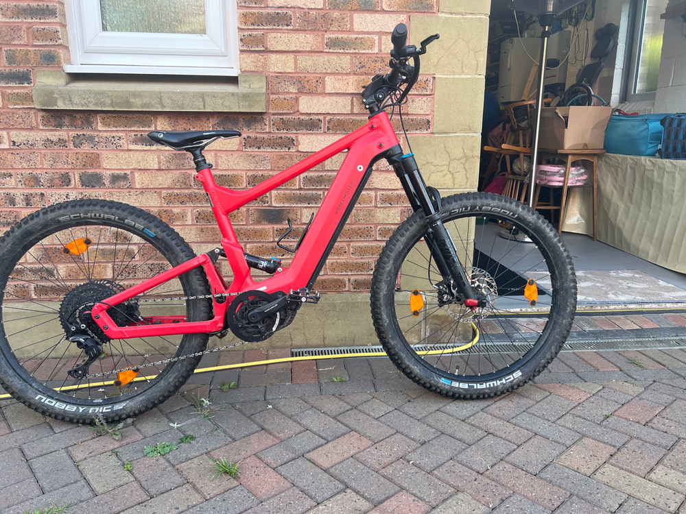 Riese & Muller mountain 2021