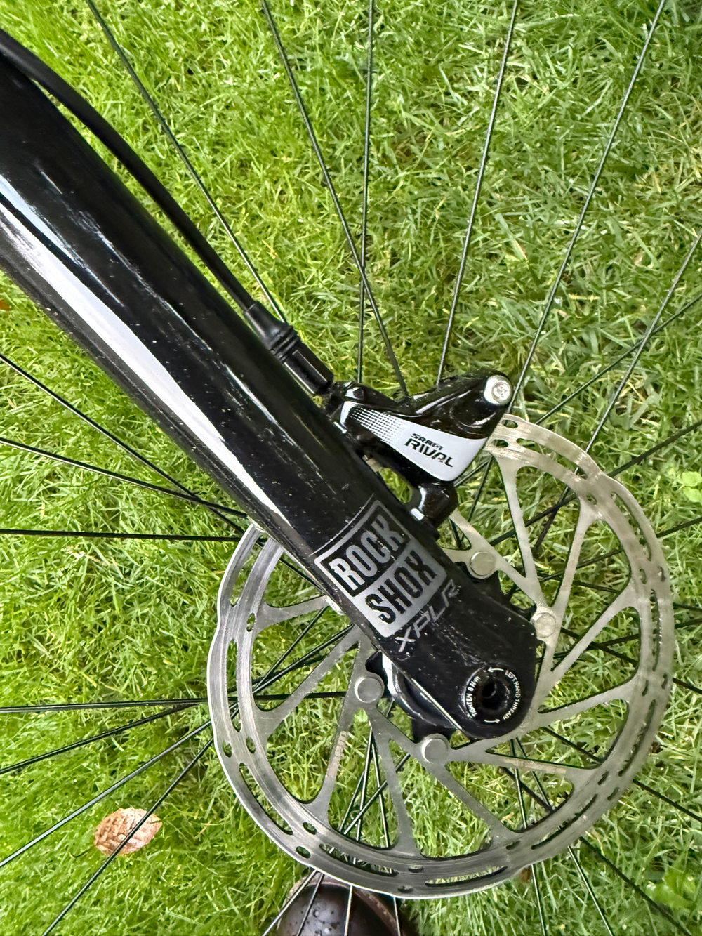 Giant Revolt X 1 2023