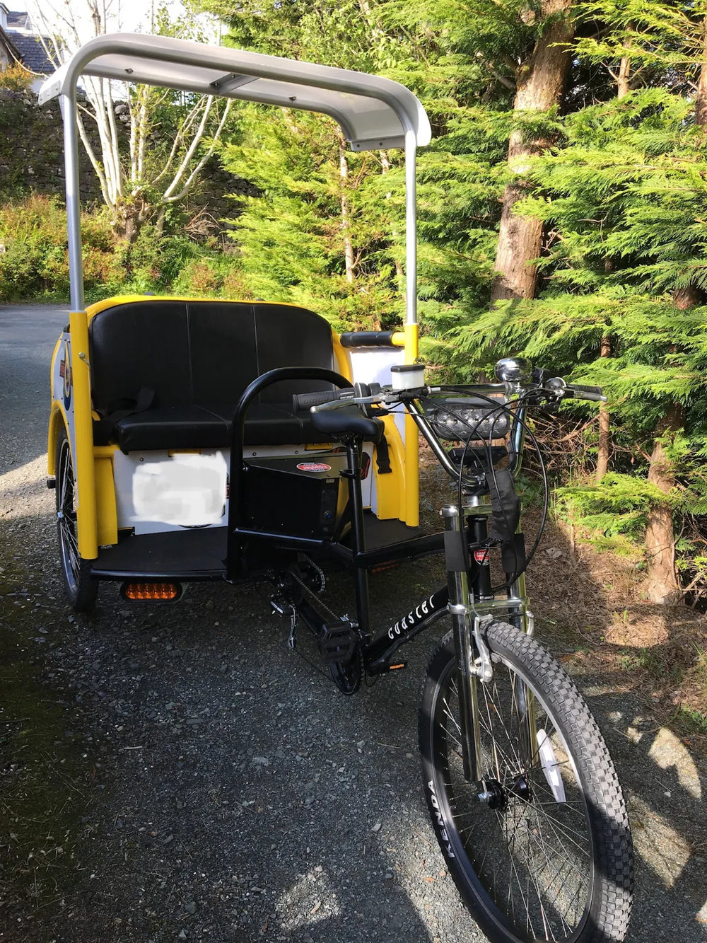 Coaster Pedicab Luxe 2019