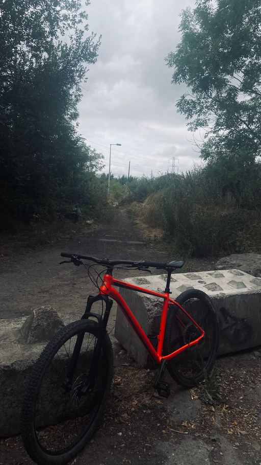 Cannondale Trail 2 29er 2019