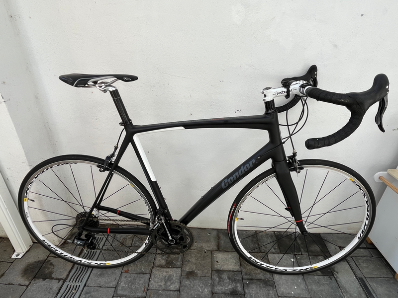 Condor Baracchi 2013