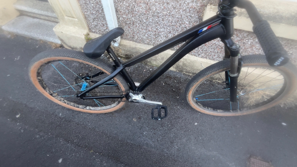 Alaudark  Lark v1 2024