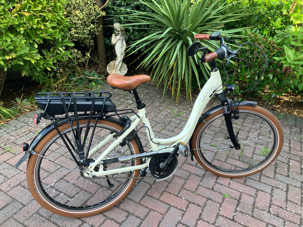 Riese & Muller Active Line Plus 2019