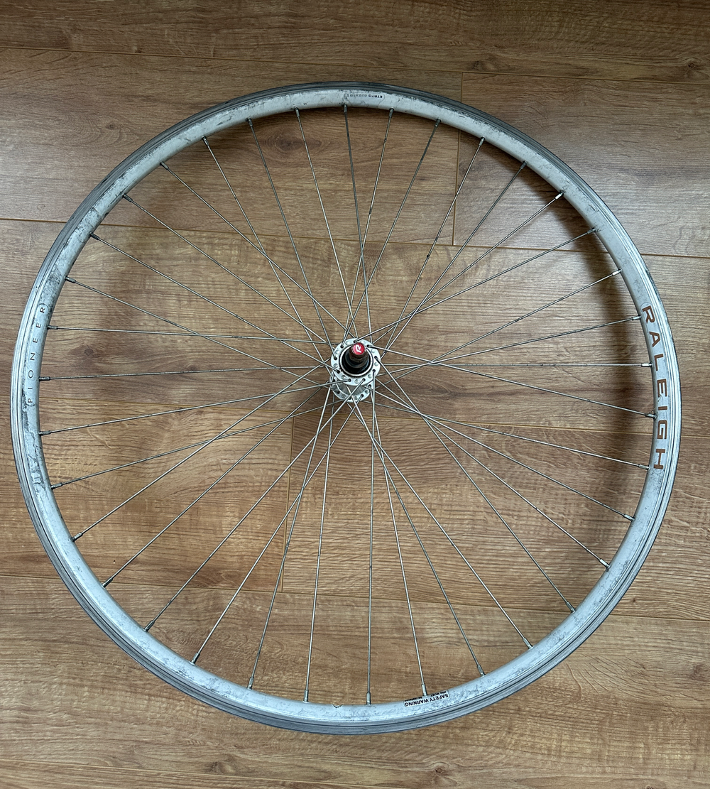 Raleigh Pioneer 2021