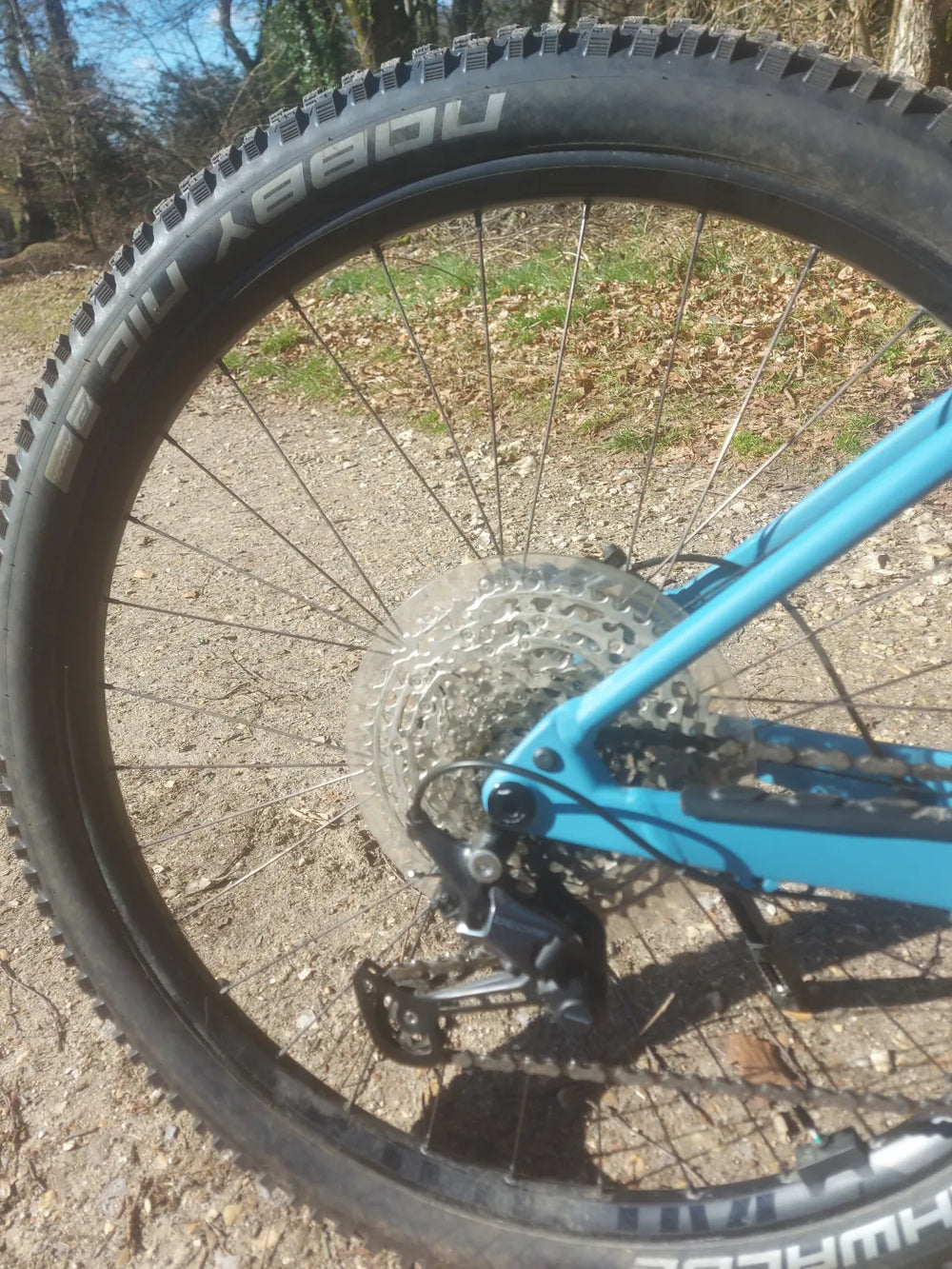 Canyon Grand Canyon:ON 7 2024