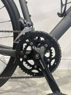 Trek Domane AL 2 Gen 4 2024
