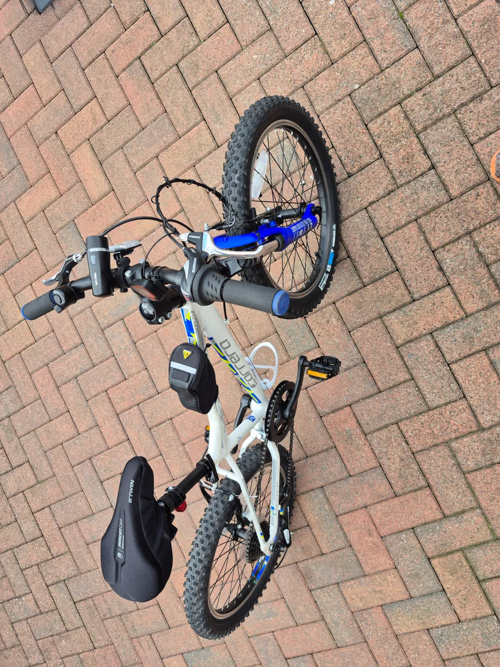 Carrera Luna Junior Mountain Bike (Limited Edition) 2022